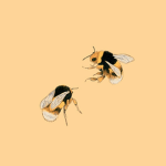 Honey.Bee25