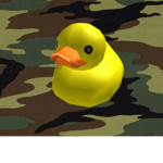 DUCK ARMY WE WILL KILL THE SWANS