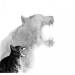 Shadowcats