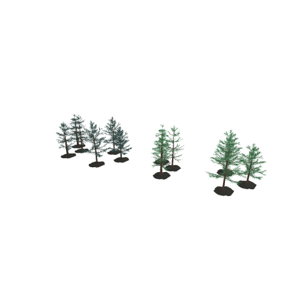 Pine Trees