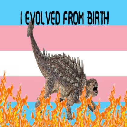 Aggressive Trans Flag Roblox decal
