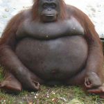 to much bananas