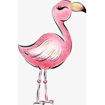 MY LOVE FLAMINGO