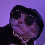 GangNoob