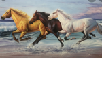 Show jumpers