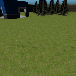Capture the Flag