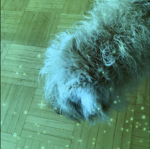 ItzDogeGaming’s Fan group