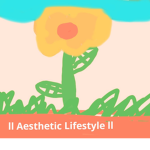 ll Aesthetic Lifestyle ll