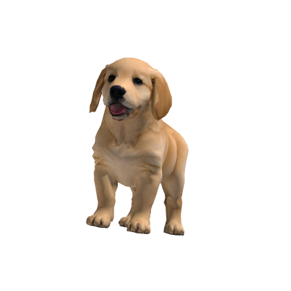 Carry a Golden Retriever Puppy Roblox item