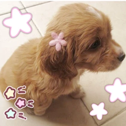 Doll$thetic Roblox group icon