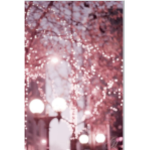 Moonlight!$