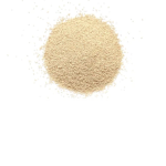 yeast group