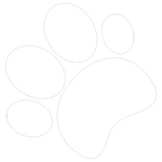 pink soft paws