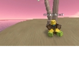 stranded