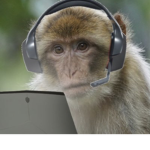 MONKE gods