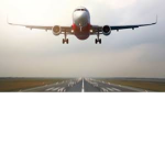 What Flies In Air