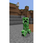 pro minecraft gamer