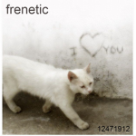 frenetic
