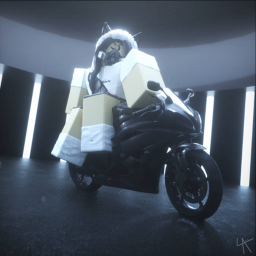 Motorcycle Projects (UPDATE !)