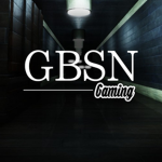 GBSN Gaming