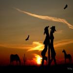 Country's Country Place