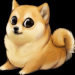 doge doge doge wow