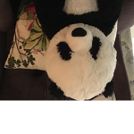 Like the pandas