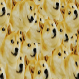 Doge's Obby