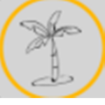 The Grande Palms Hotel