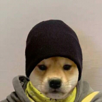 hbdjsb