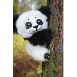 Explore With Panda.