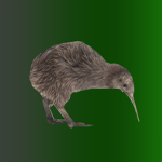 The Kiwi Group :)