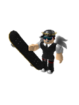 Sk8rdude458 Fans!