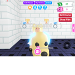 The Pink ROBLOX Pros