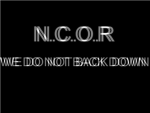 N.C.O.R (Ninja Clan Of Roblox)