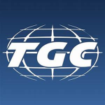 the gameing world