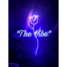 The Vibe