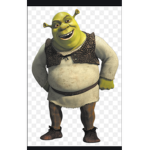 Yo this is dedicated to THE SHREK FANS