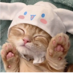 Hello Kitty Obby And Hangout