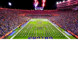 Florida Gators Football Field icon