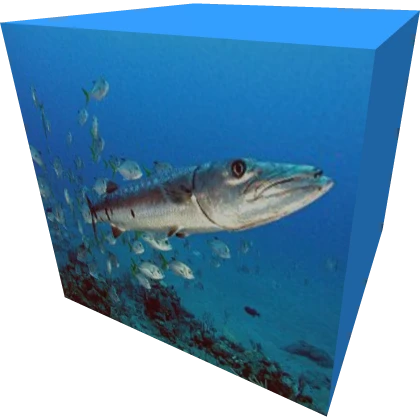 Item Thumbnail