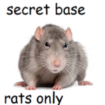 The secret rats