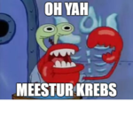 NOOB ARE ROBLOXIANS