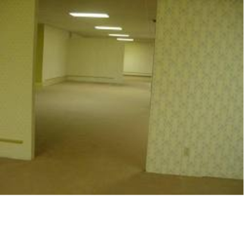 the backrooms