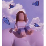 Bb robux fund