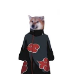 Doge Akatsuki squad