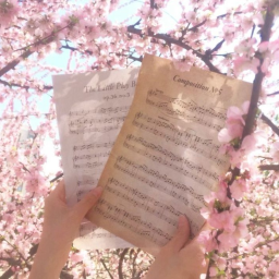 🌸