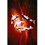 KILLER WHALES*