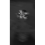 -$ ######### ##