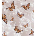 ~Darling butterflies~